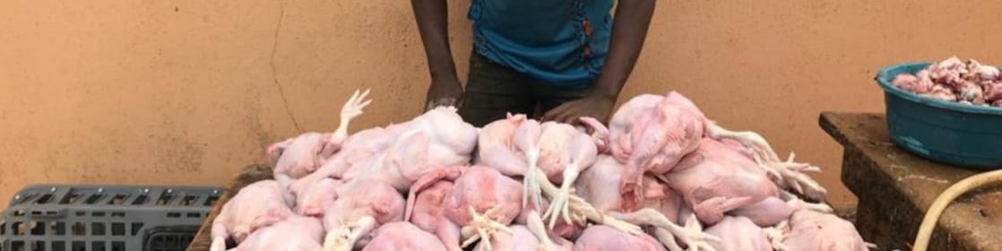 Man standing near chicken